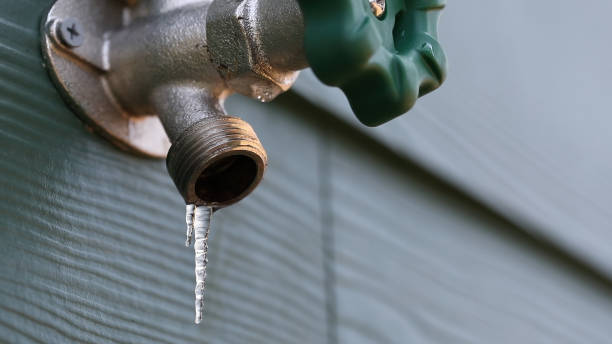Best Plumbing Inspection Services  in Southaven, MS